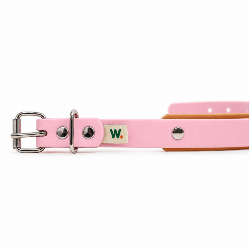 Collier pour chien imperméable rose et orange - Waf & Co | Waf & Co