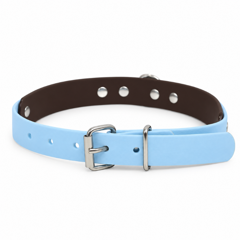 Collier pour chien imperméable bleu ciel et marron - Waf & Co | Waf & Co