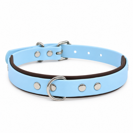 Collier pour chien imperméable bleu ciel et marron - Waf & Co | Waf & Co