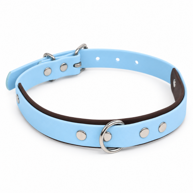 Collier pour chien imperméable bleu ciel et marron - Waf & Co | Waf & Co