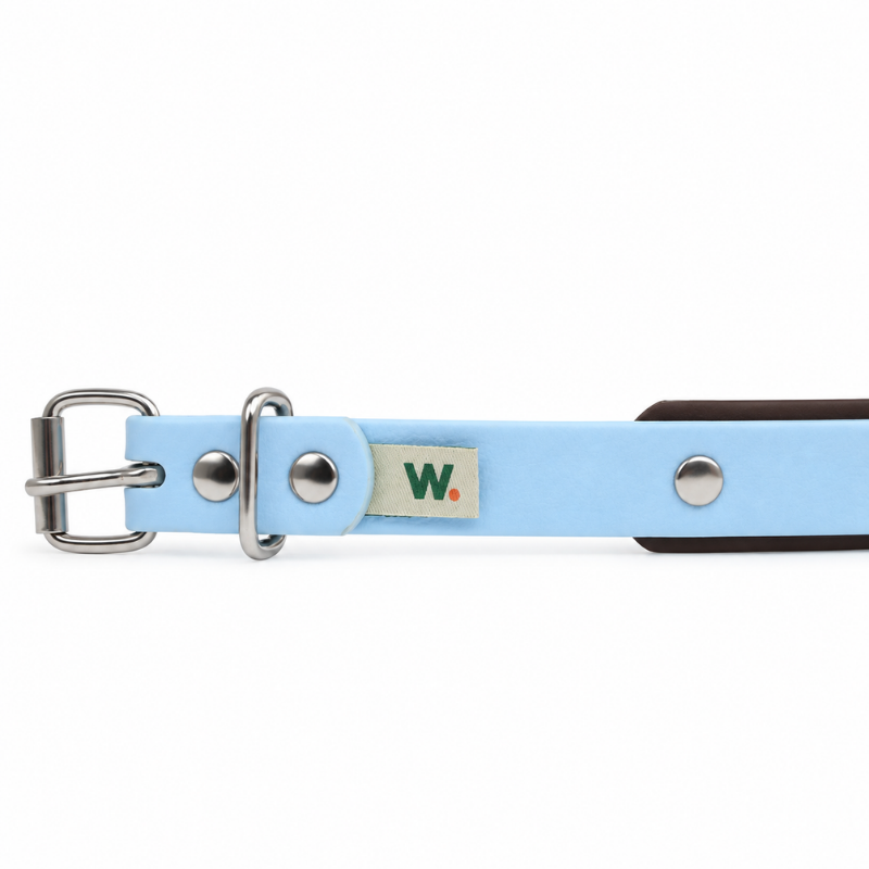 Collier pour chien imperméable bleu ciel et marron - Waf & Co | Waf & Co