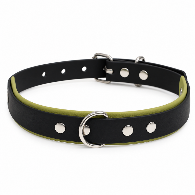 Collier pour chien imperméable noir et kaki - Waf & Co | Waf & Co