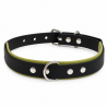 Black and Khaki Waterproof Dog Collar - Waf & Co | Waf & Co
