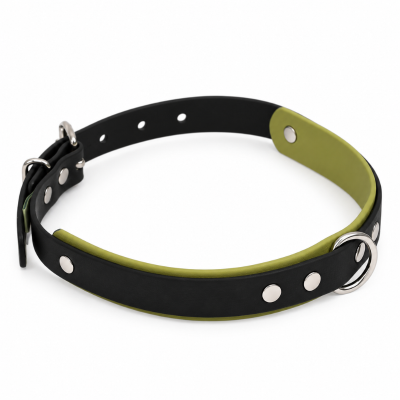 Collier pour chien imperméable noir et kaki - Waf & Co | Waf & Co