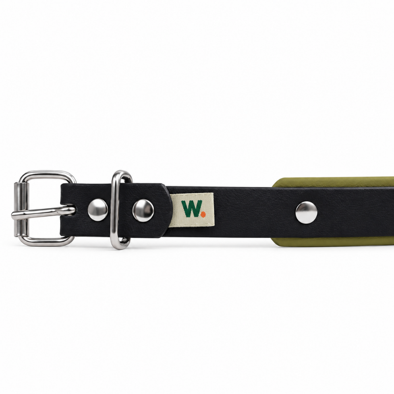 Collier pour chien imperméable noir et kaki - Waf & Co | Waf & Co