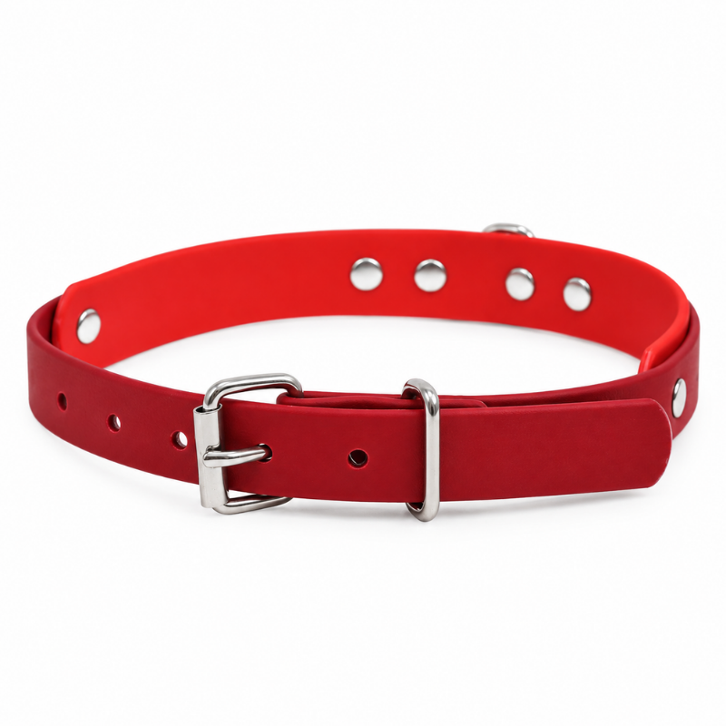 Collier pour chien imperméable bordeaux et rouge - Waf & Co | Waf & Co