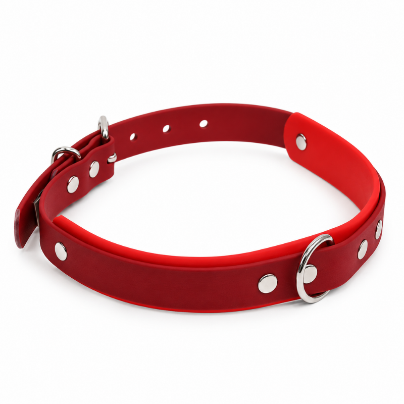 Collier pour chien imperméable bordeaux et rouge - Waf & Co | Waf & Co