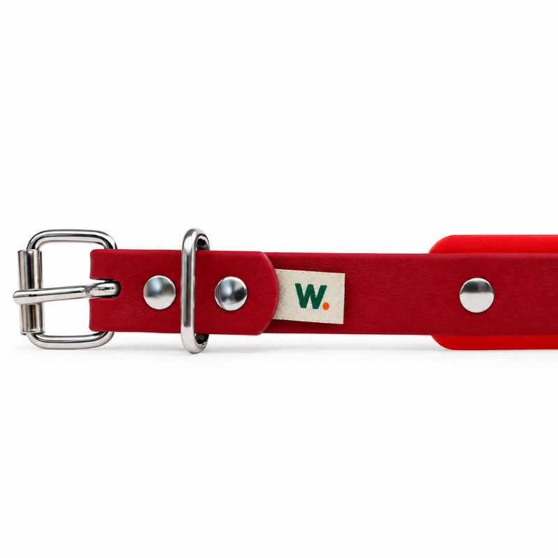 Burgundy and Red Waterproof Dog Collar - Waf & Co | Waf & Co