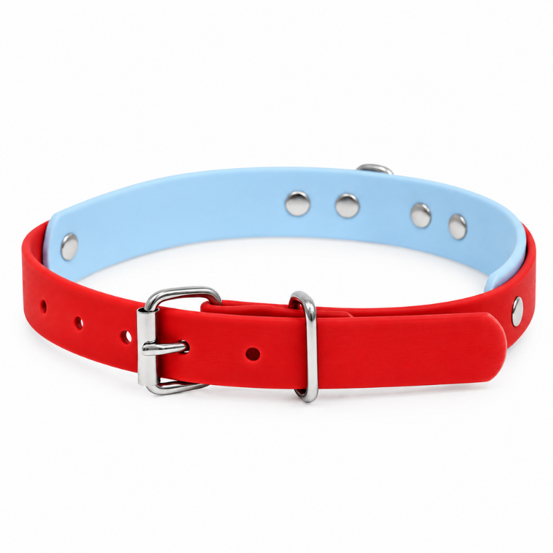 Red and Sky Blue Waterproof Dog Collar - Waf & Co | Waf & Co