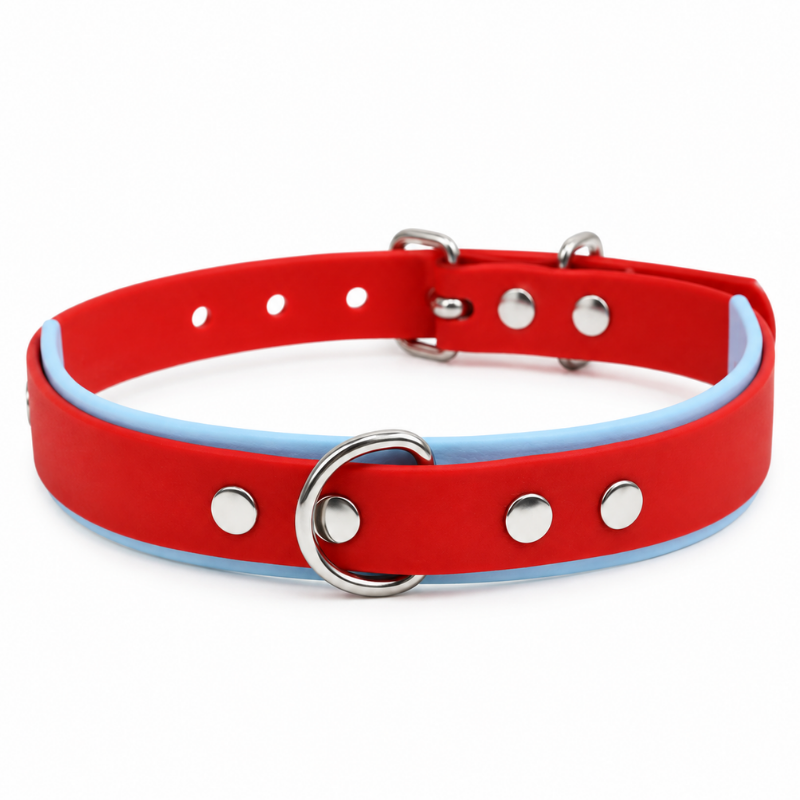 Collier pour chien imperméable rouge et bleu ciel - Waf & Co | Waf & Co