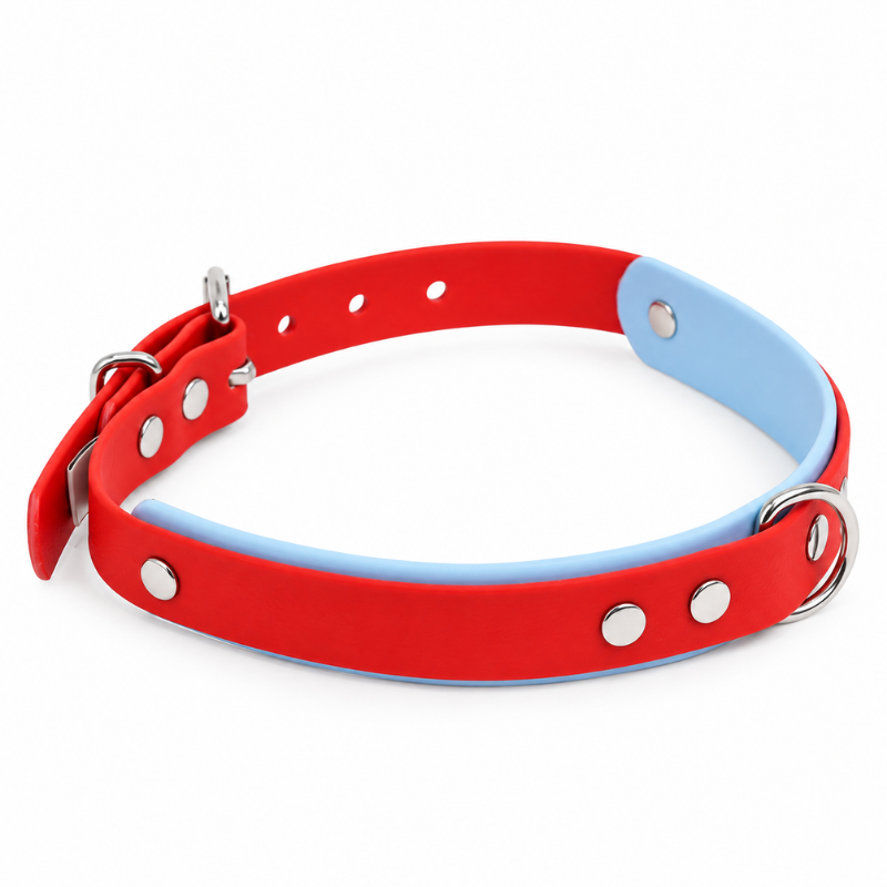 Collier pour chien imperméable rouge et bleu ciel - Waf & Co | Waf & Co