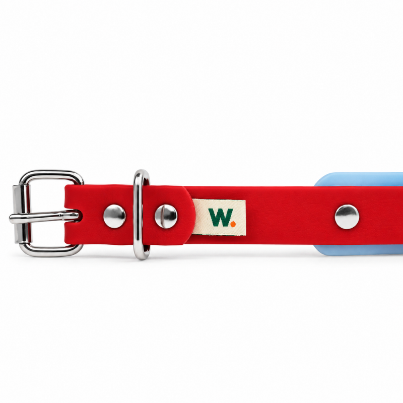 Red and Sky Blue Waterproof Dog Collar - Waf & Co | Waf & Co
