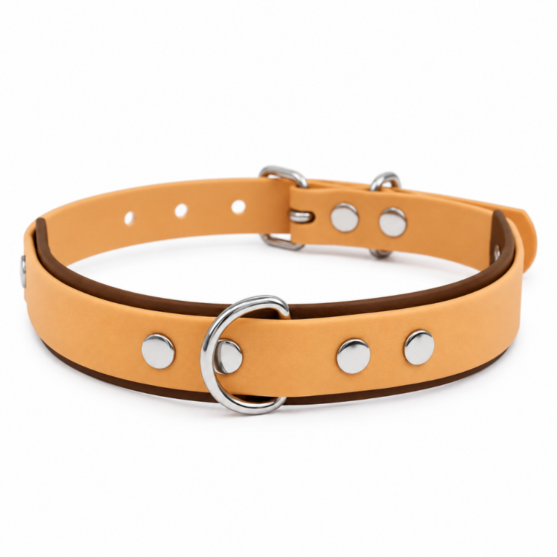 Collier pour chien imperméable orange et marron - Waf & Co | Waf & Co