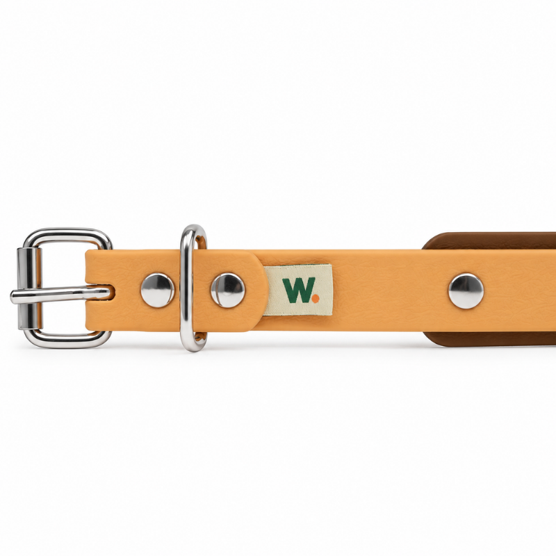 Collier pour chien imperméable orange et marron - Waf & Co | Waf & Co