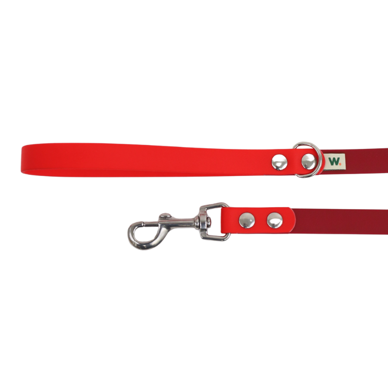 Laisse bordeaux et rouge - Waf & Co | Waf & Co