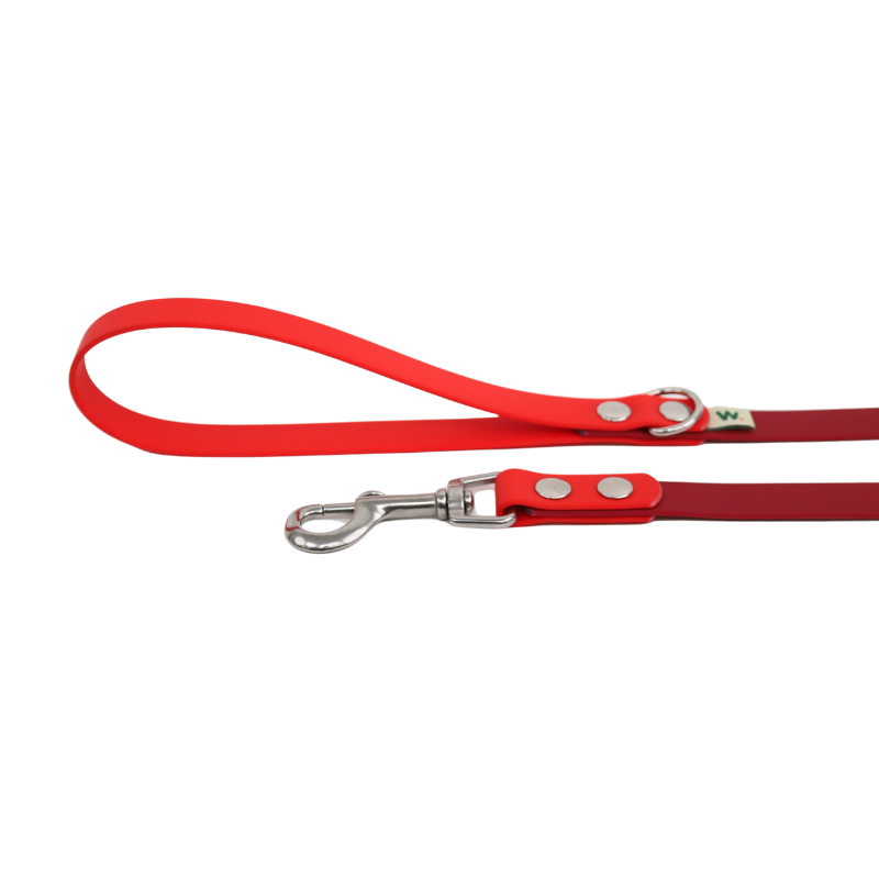 Laisse bordeaux et rouge - Waf & Co | Waf & Co
