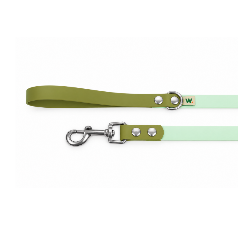 Laisse verte et kaki - Waf & Co | Waf & Co