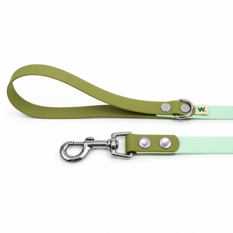 Laisse verte et kaki - Waf & Co | Waf & Co