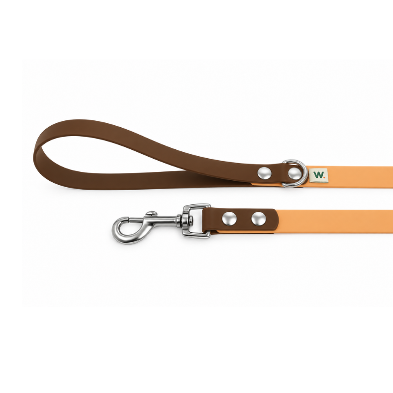 Orange and brown dog leash - Waf & Co | Waf & Co