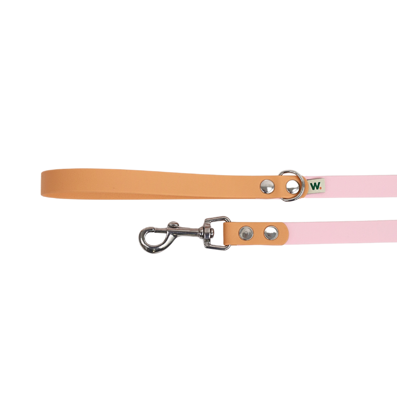 Pink and orange dog leash - Waf & Co | Waf & Co