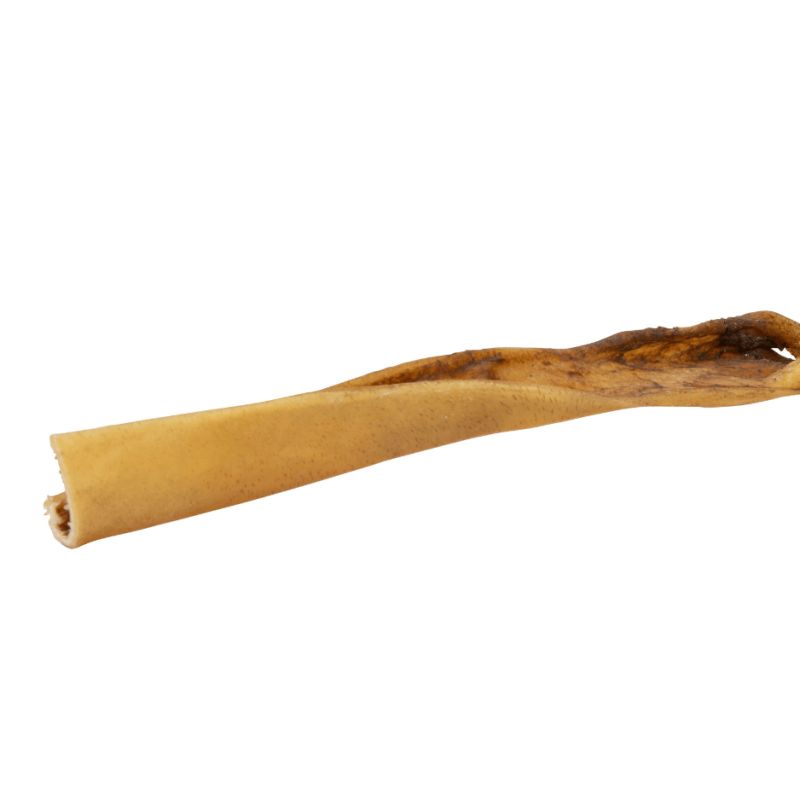 Peau de Tête de Buffle XXL