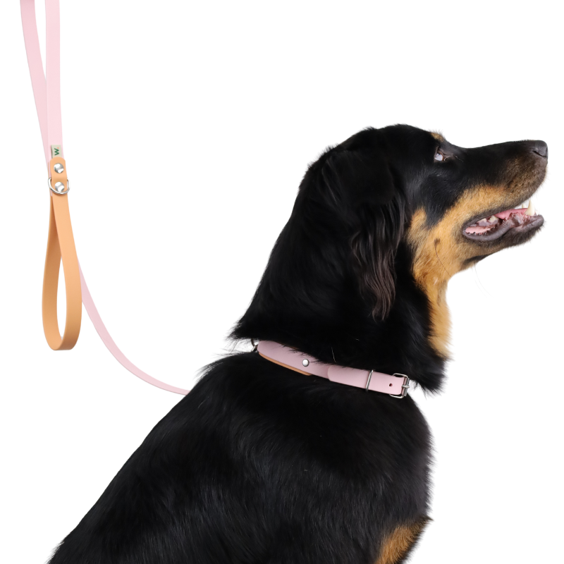 Pink and orange dog leash - Waf & Co | Waf & Co
