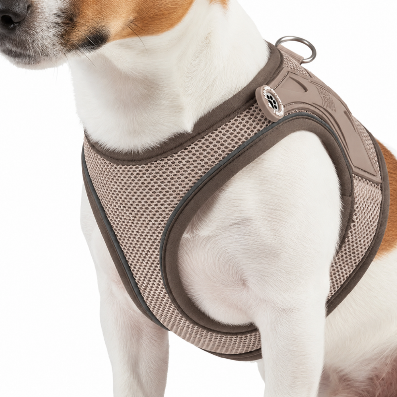 Harnais Air Vest Matrix 2.0 - Max & Molly | Waf & Co