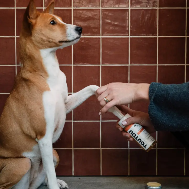 Nettoyant pattes rechargeable - Toutou Petcare | Waf & Co