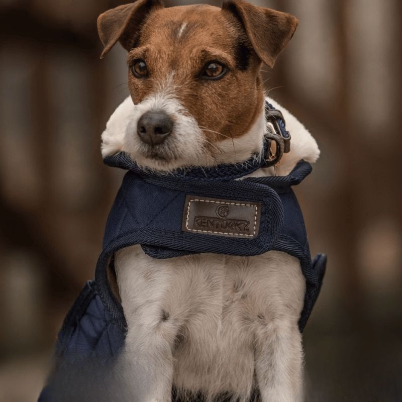 Manteau pour chien Original