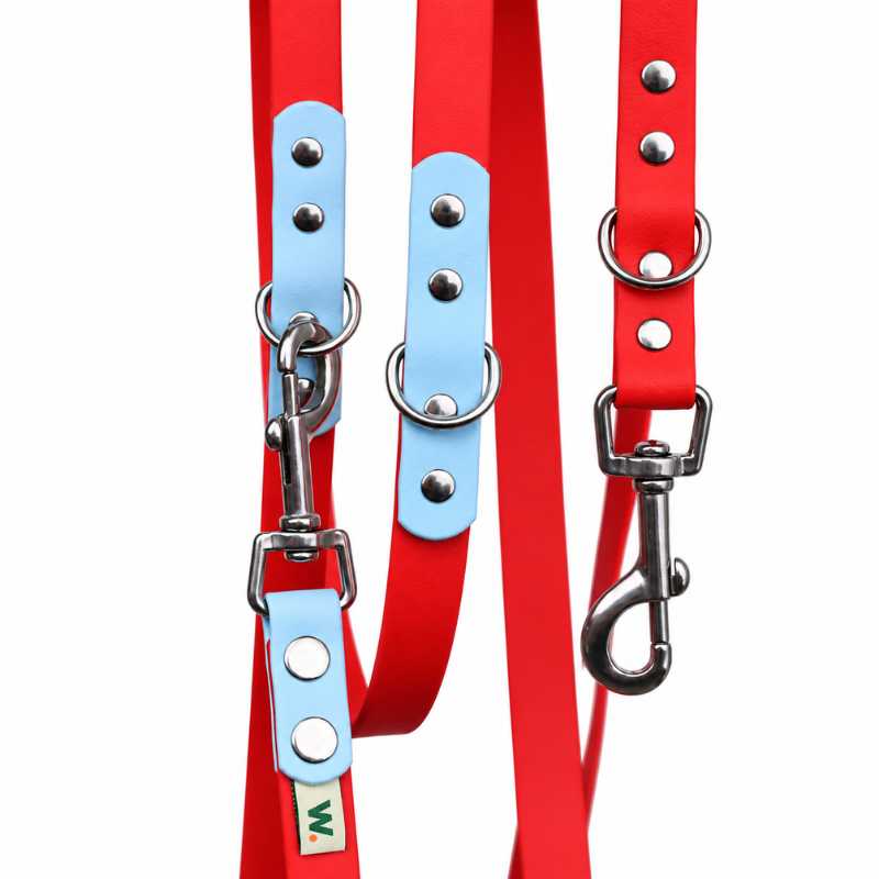 Laisse multi-positions rouge et bleu ciel - Waf & Co | Waf & Co